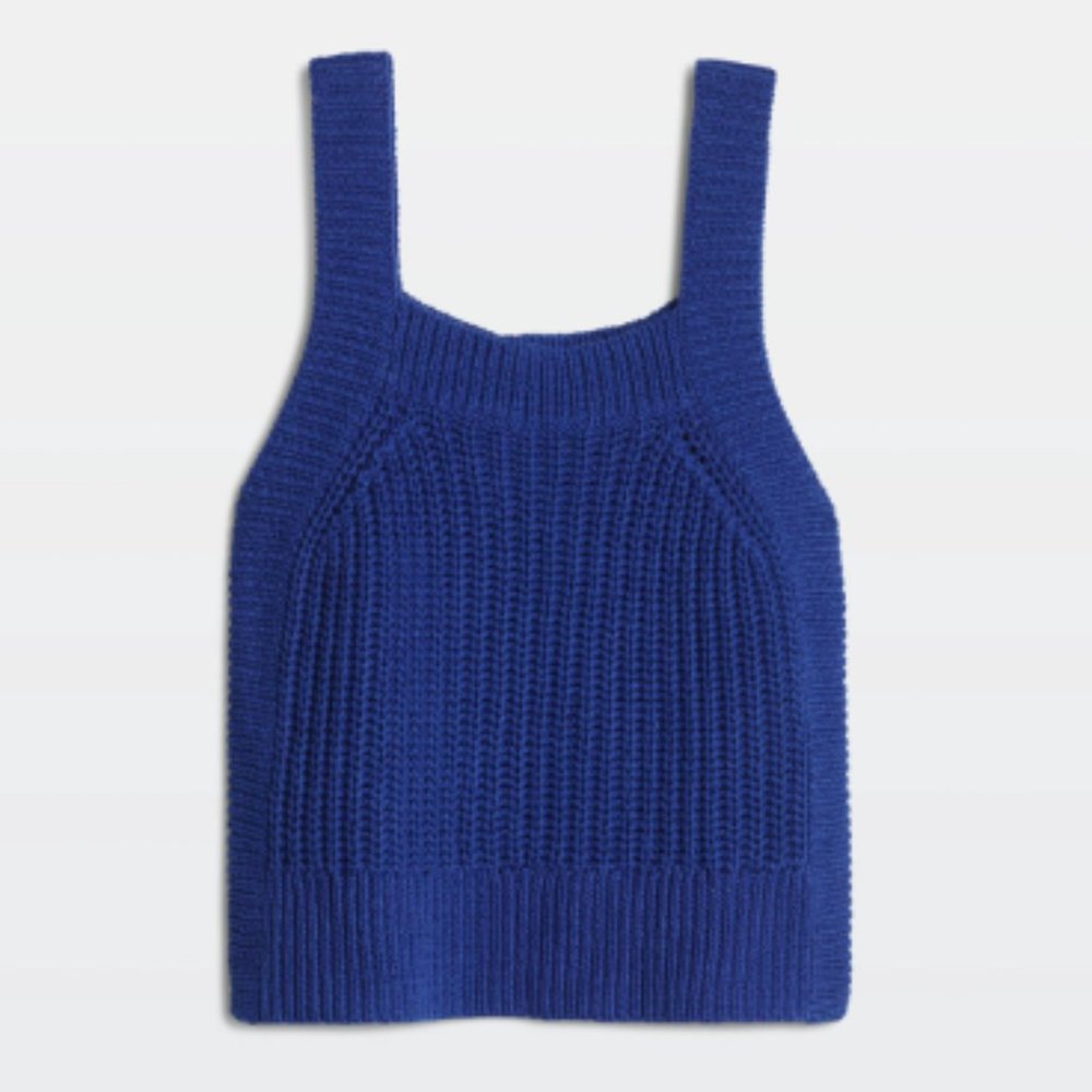 Aritzia Wilfred Blue Caumont Knitted Tank